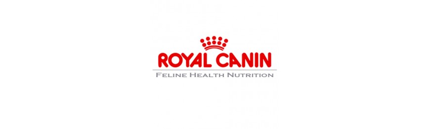 Feline Health Nutrition